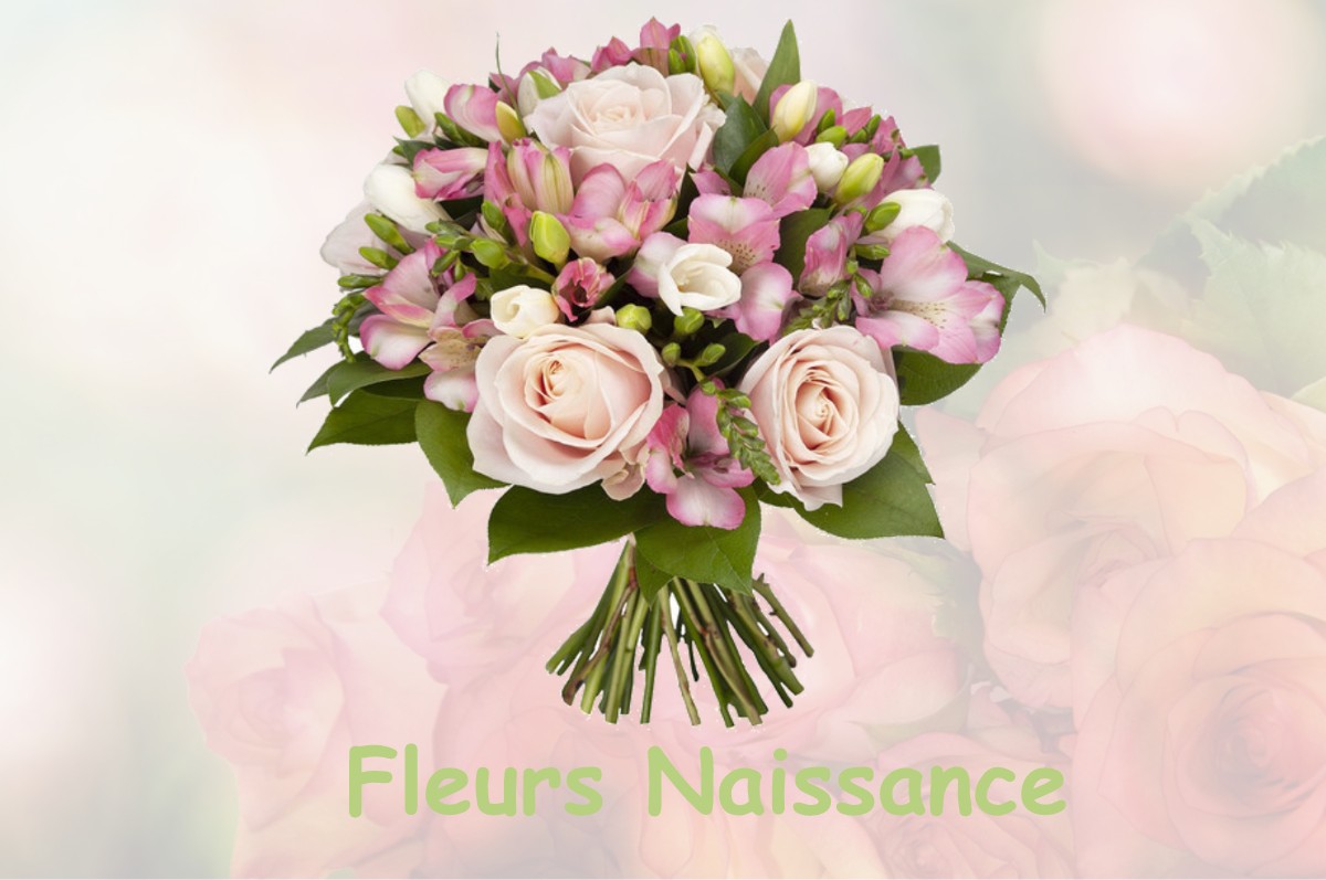 fleurs naissance BRILLON-EN-BARROIS