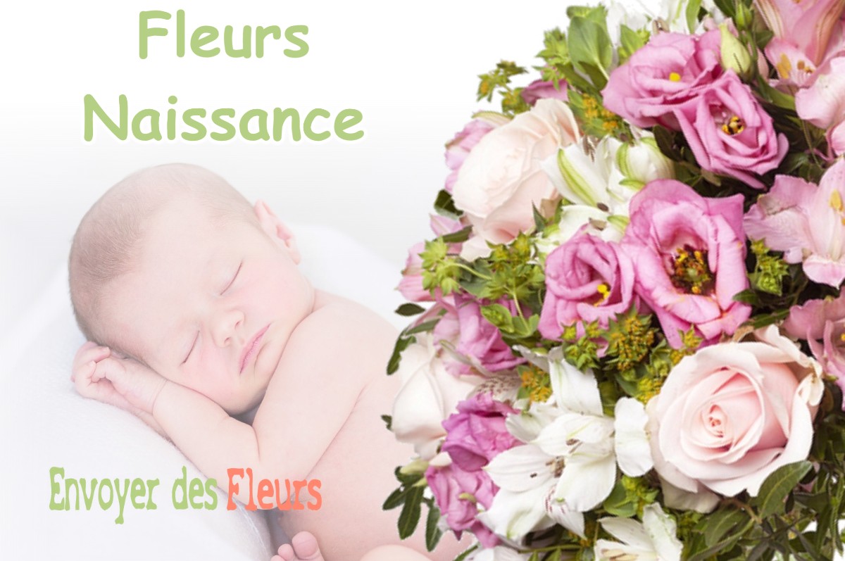 lIVRAISON FLEURS NAISSANCE à BRILLON-EN-BARROIS